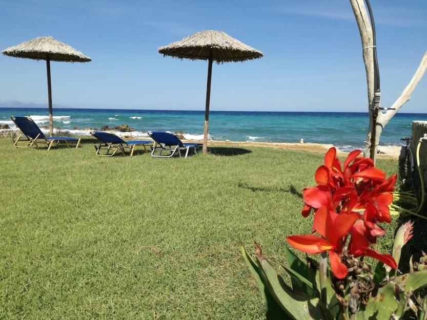 Apartment Thalassa